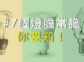 燈胆|【燈膽知多D】詳解燈泡 8 個必知小知識 比較選購更容易 